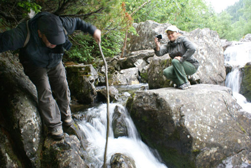 Amut cascade